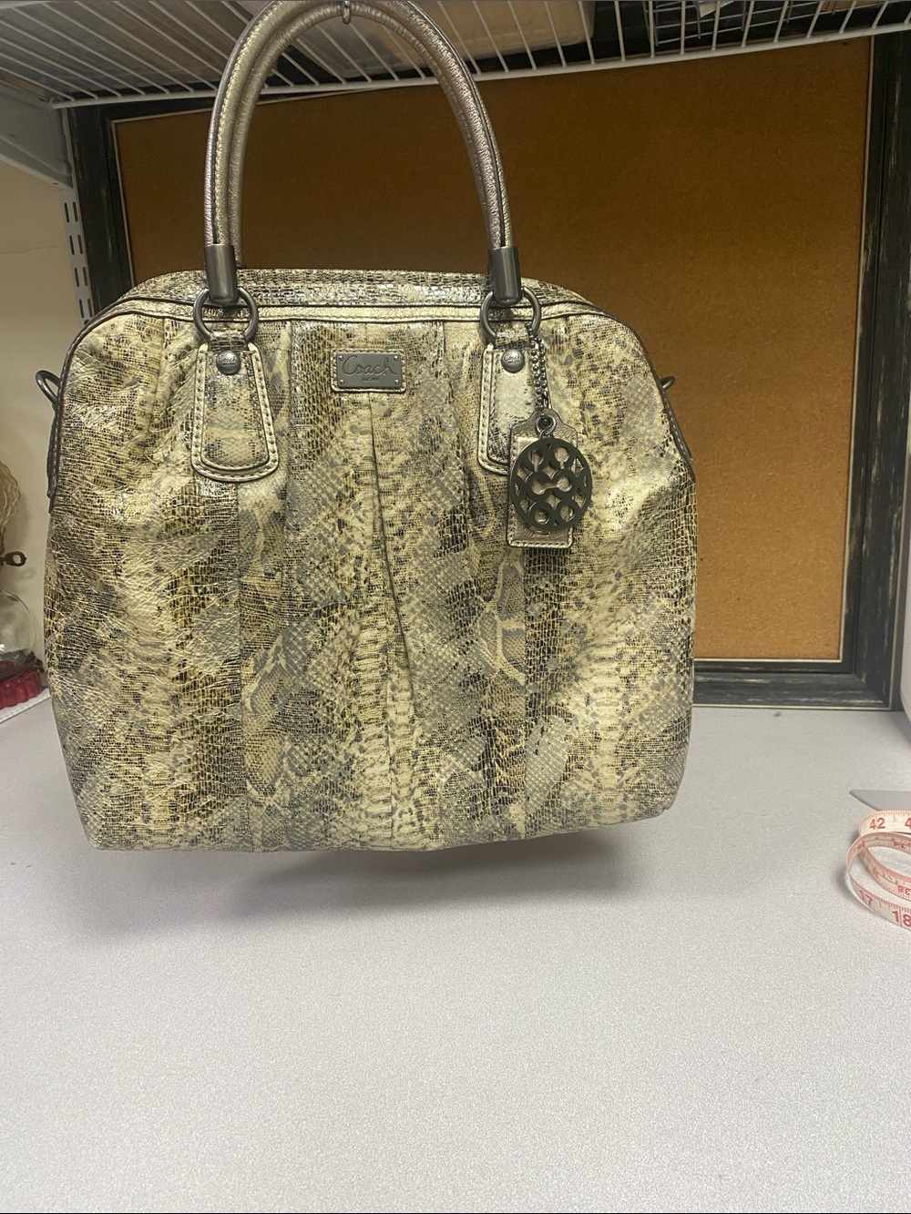 Coach Y2K Kristin Pleated Hobo metallic Leather snake purse